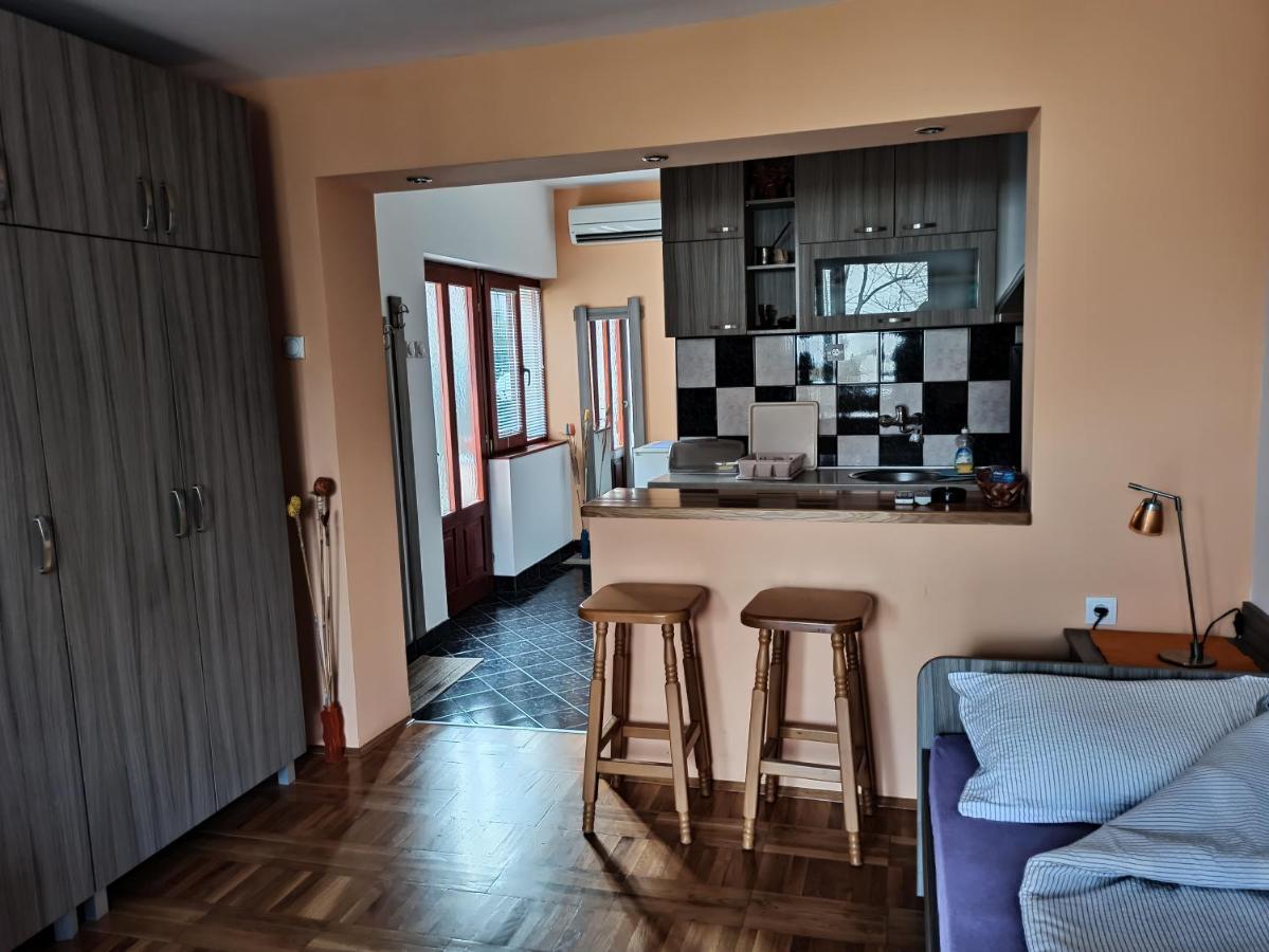 Apartman Ristic Niska Banja Exterior foto